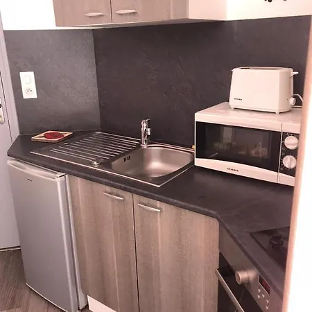 Face Aux Thermes 公寓 勒蒙多尔